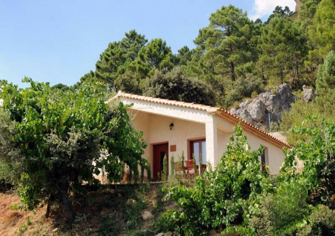Casas Rurales Mirador Del Mundo 예스테 외부 사진
