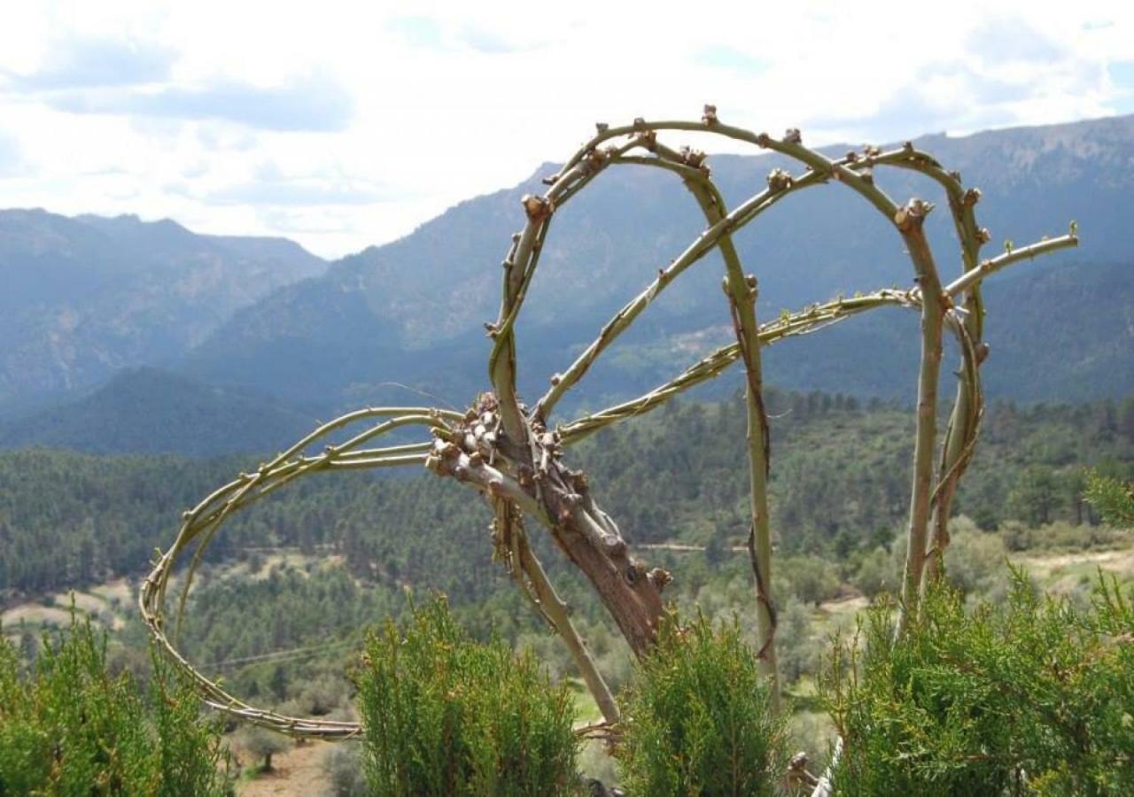 Casas Rurales Mirador Del Mundo 예스테 외부 사진