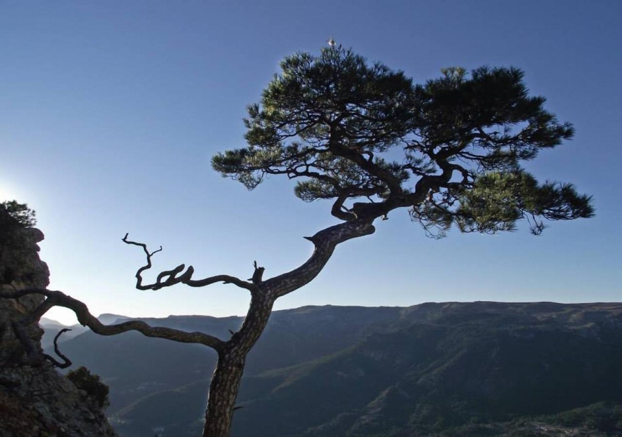 Casas Rurales Mirador Del Mundo 예스테 외부 사진